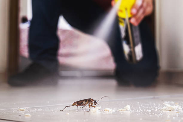 Pest Prevention Services in Swansboro, NC