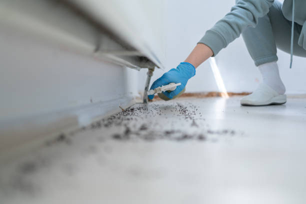 Best Affordable Pest Control Services  in Swansboro, NC